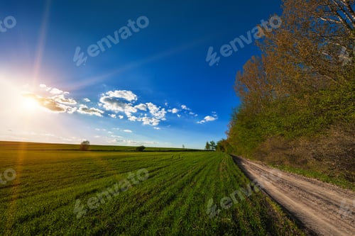 Preview: Green Field And Beautiful Sunset
