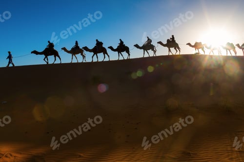 Preview: Camel Caravan Going Through The Desert