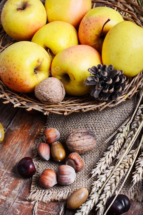 Preview: Autumn Still Life With Apples And Nuts.Autumn Harvest Of Apples In Still Life With Nuts,Ears Of