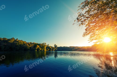 Preview: Picturesque Forest And The River
