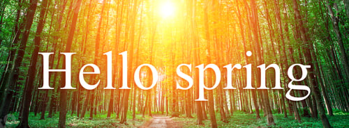 Preview: Hello Spring, Beautiful Green Forest