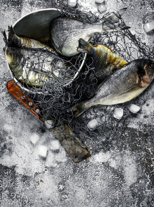 Preview: Fresh Unprepared Dorado Fish In An Old Bucket With Fishing Net. On A Rustic Background.
