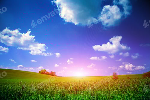 Preview: Green Field And Beautiful Sunset