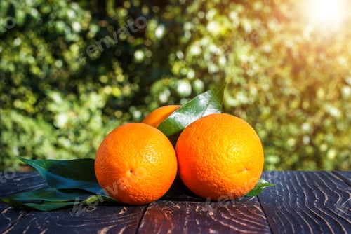Preview: Orange Outdoors On Green Bokeh In Summer