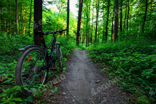 Preview: Mountain Biking Down Hill Descending Fast On Bicycle. View From Bikers Eyes.