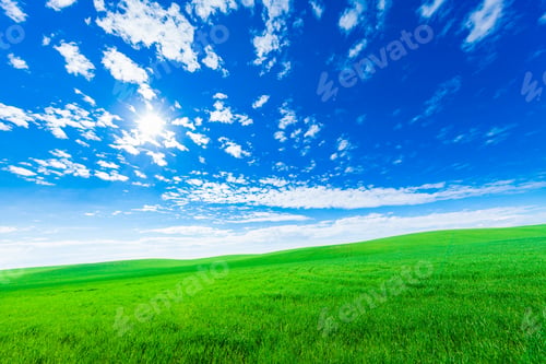 Preview: Green Field And Beautiful Sunset
