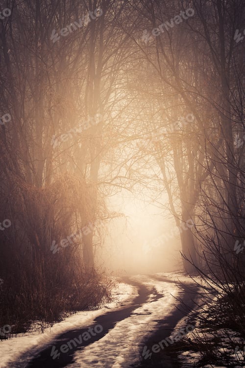 Preview: Fog On A Way