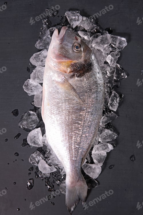 Preview: Dorado Fish On Ice
