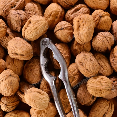 Preview: Walnut And Nutcracker Background- Top View
