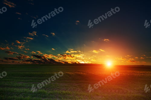 Preview: Green Field And Beautiful Sunset