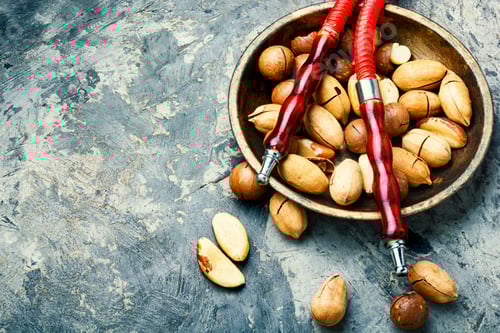 Preview: Oriental Tobacco Hookah With Nut Shisha Tobacco.