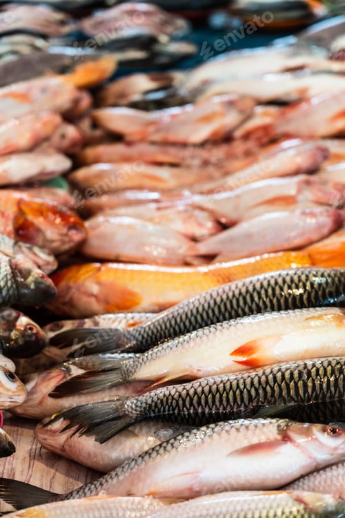 Preview: Fresh, Raw Fish In Grocery