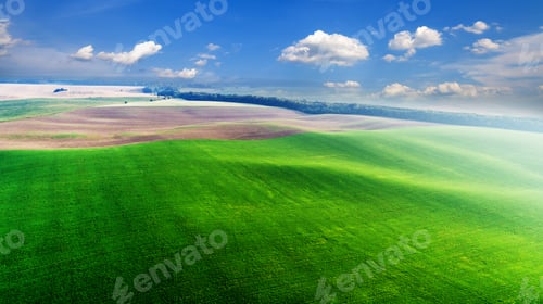 Preview: Top View Of The Farmhouses With Gardens And The Road