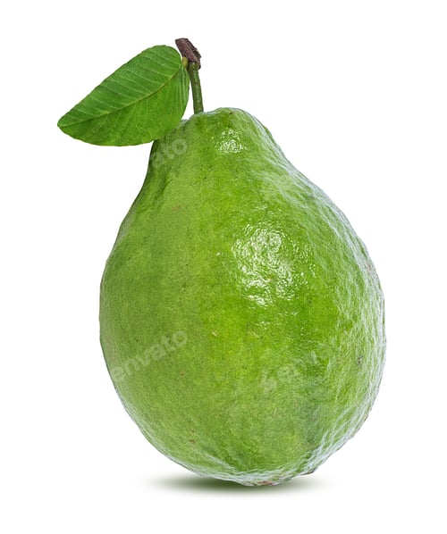Preview: Guava Isolated On White Background