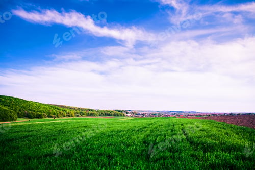 Preview: Green Field And Beautiful Sunset