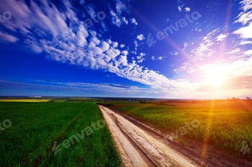 Preview: Green Field And Beautiful Sunset