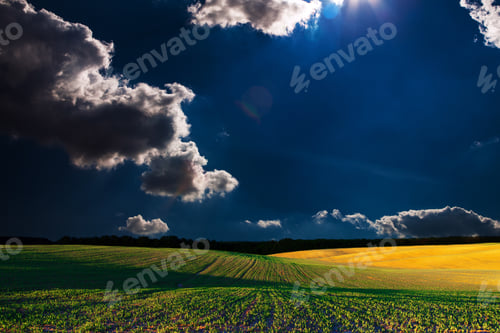 Preview: Green Field And Beautiful Sunset
