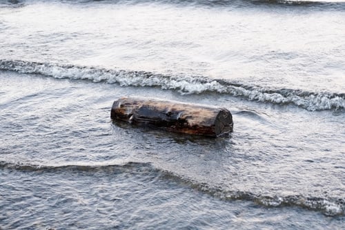 Preview: Single Tree Log In Shore Water At Loch Lomond River Scotland Uk