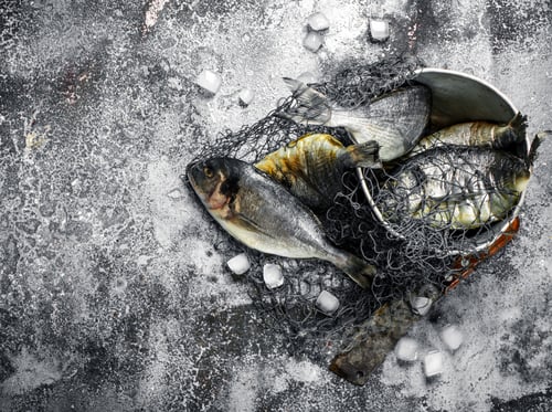 Preview: Fresh Unprepared Dorado Fish In An Old Bucket With Fishing Net. On A Rustic Background.