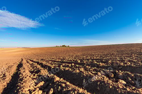 Preview: Agricultural Field In Autumn.