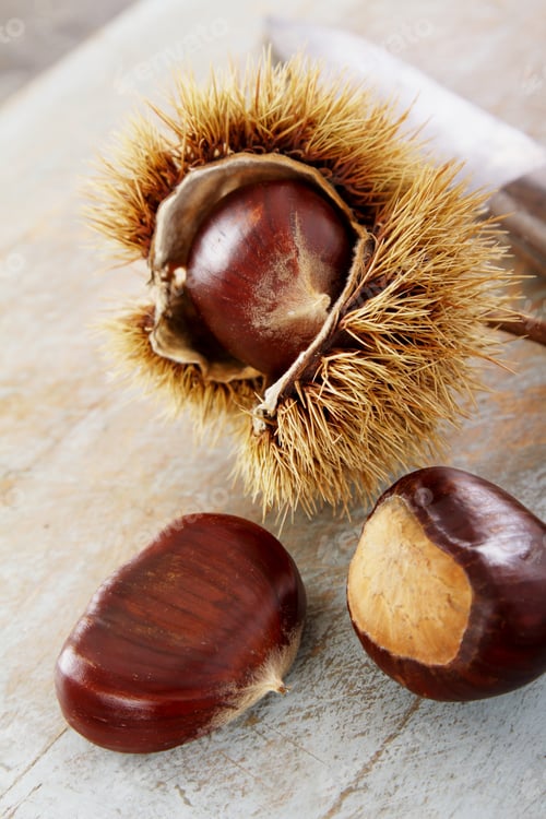 Preview: Preparing Ripe Chestnuts