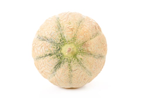 Isolated Cantaloupe on a White Background