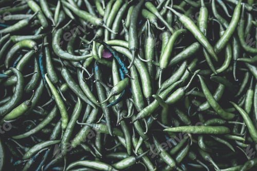 Preview: Close Up Of Green Chili Peppers. Top View Of Raw Dark Green Peppers At Street Food Market