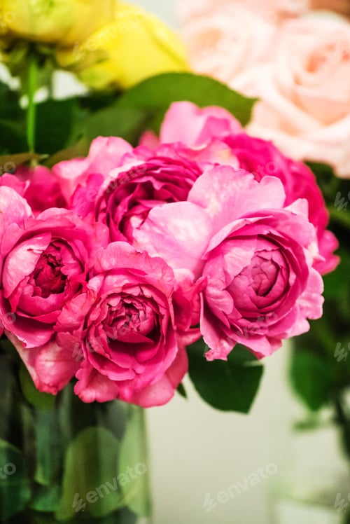 Preview: Nice Roses