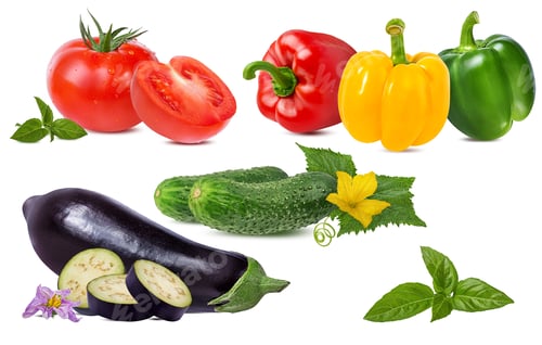 Preview: Tomato,Eggplant ,Pepper, Basil And Cucumber Isolated On White Background