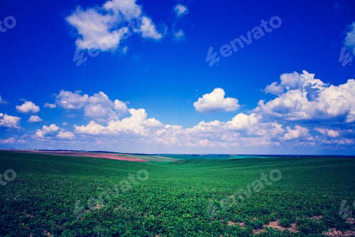 Preview: Green Field And Beautiful Sunset