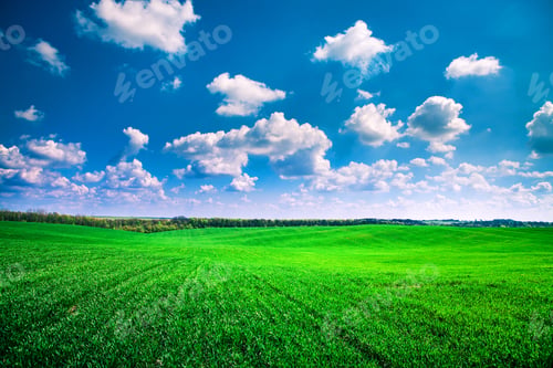 Preview: Beautiful Morning Green Field With Blue Heaven