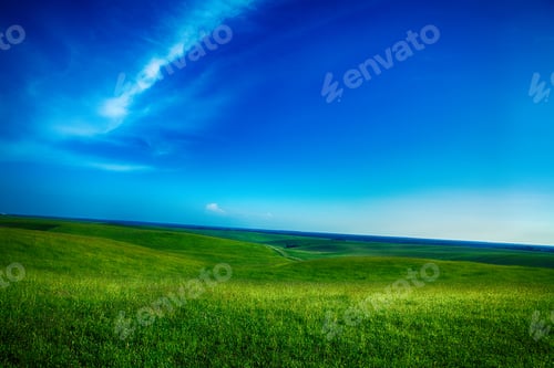 Preview: Beautiful Spring Field With The Blue Sky