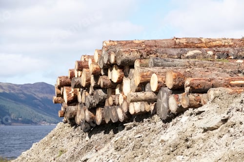 Preview: Chopped Wood Logs Stack For Fire Place At Home On Forest Woodlands Green Biomass Energy