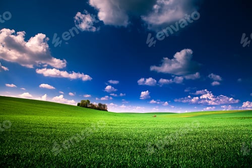 Preview: Green Grass Under Blue Sky