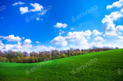 Preview: Green Grass Under Blue Sky