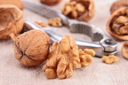 Preview: Bowl Of Walnuts And Nutcracker