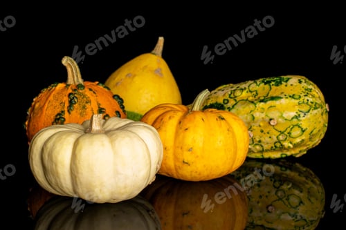 Preview: Group Of Five Whole Beautiful Decorative Gourd Isolated On Black Glass