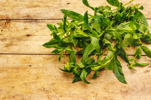 Preview: Fresh Young Mint. Traditional Ingredient For Cooking. Old Wooden Background