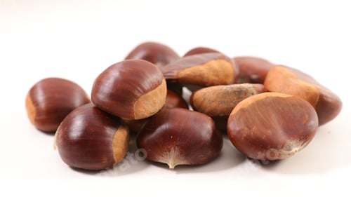Preview: Chestnut Isolated On White
