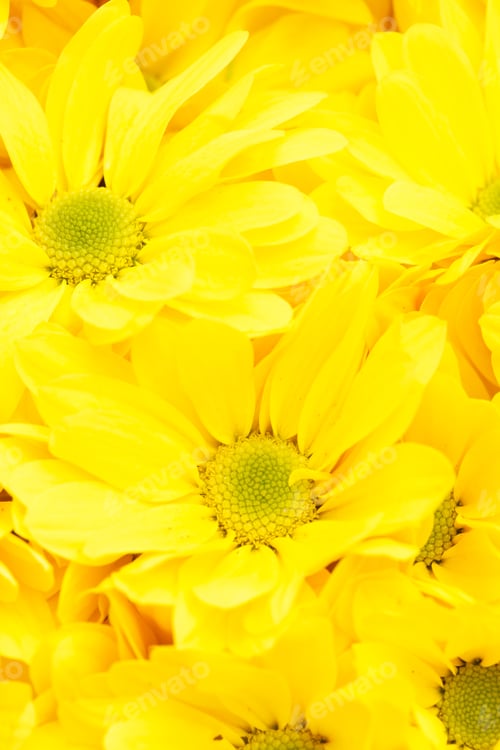 Preview: Nature Background