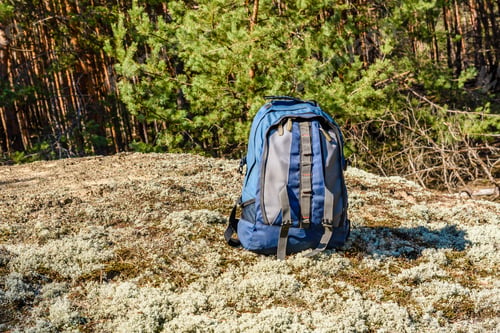 Preview: Backpack On A Ground In Coniferous Forest