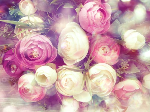 Preview: Peony Flowers Bush Floral Spring Background Greeting Card