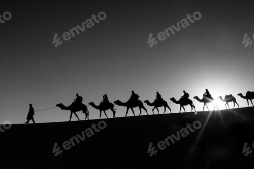 Preview: Camel Caravan Going Through The Desert