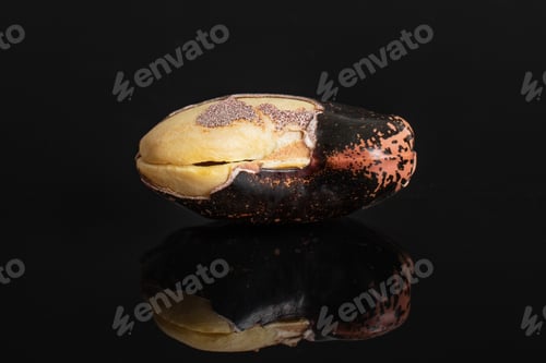 Preview: One Whole Stained Purple Bean Isolated On Black Glass