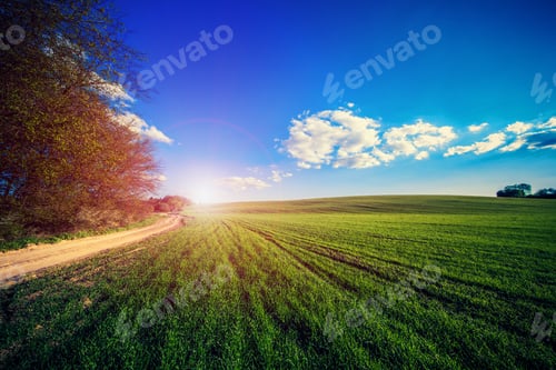 Preview: Green Field And Beautiful Sunset