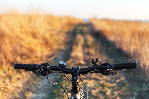 Preview: Mountain Biking Down Hill Descending Fast On Bicycle. View From Bikers Eyes
