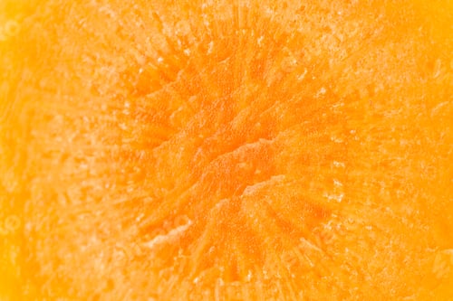 Preview: Macro Closeup Of One Slice Of Fresh Orange Carrot Isolated