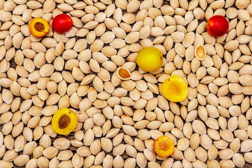 Preview: Cherry Plum Seeds, Whole And Half Fruits. Wooden Background, Top View