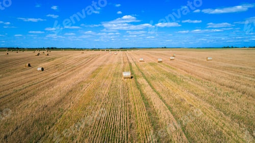 Preview: Wheat Field After Harvest With Straw Bales At Sunset