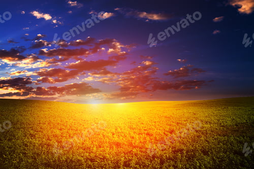 Preview: Green Field And Beautiful Sunset